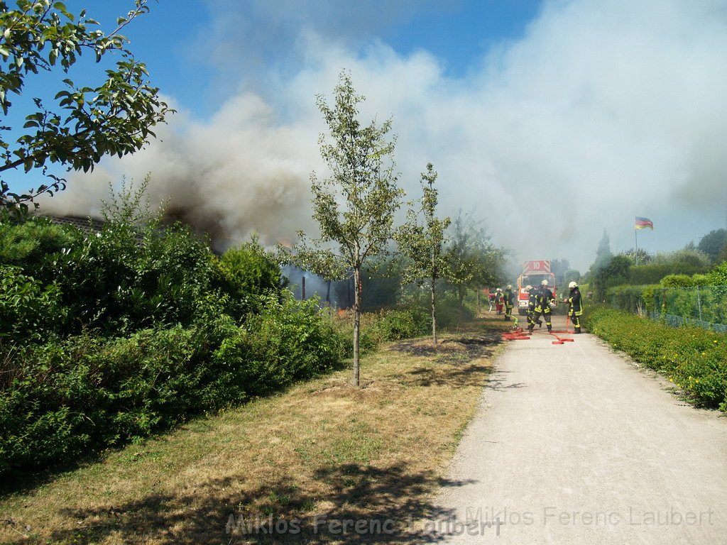 Gartenlaube in Vollbrand Koeln Poll Im Gremberger Waeldchen P017.JPG